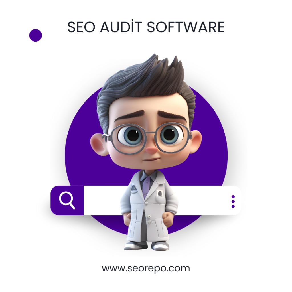 seo audit software