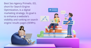 best seo agency primelis