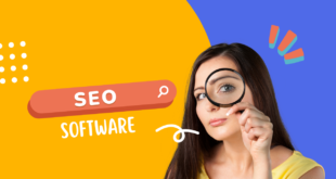 seo software