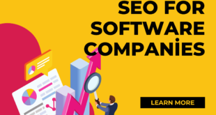 seo for software companies