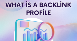 what is a backlink profile