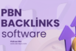 pbn backlinks software